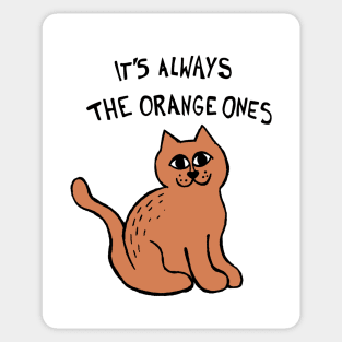 It's Always The Orange Ones Meme Cat Sticker